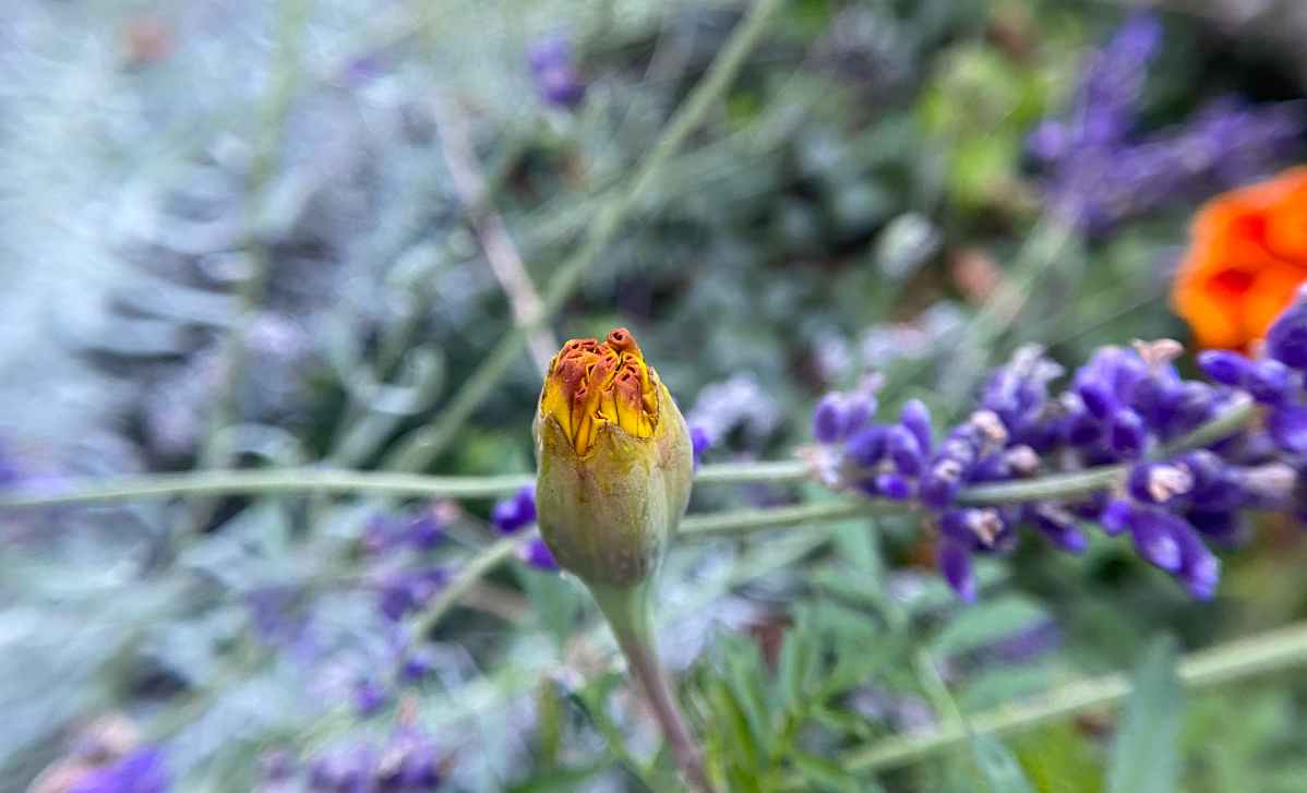 What to do When Your Spiritual Practice Collects&nbsp;Dust