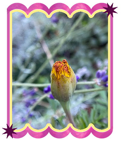 What to do When Your Spiritual Practice Collects&nbsp;Dust